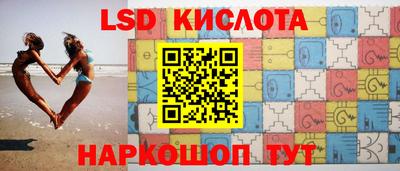 сатива Ставрополь