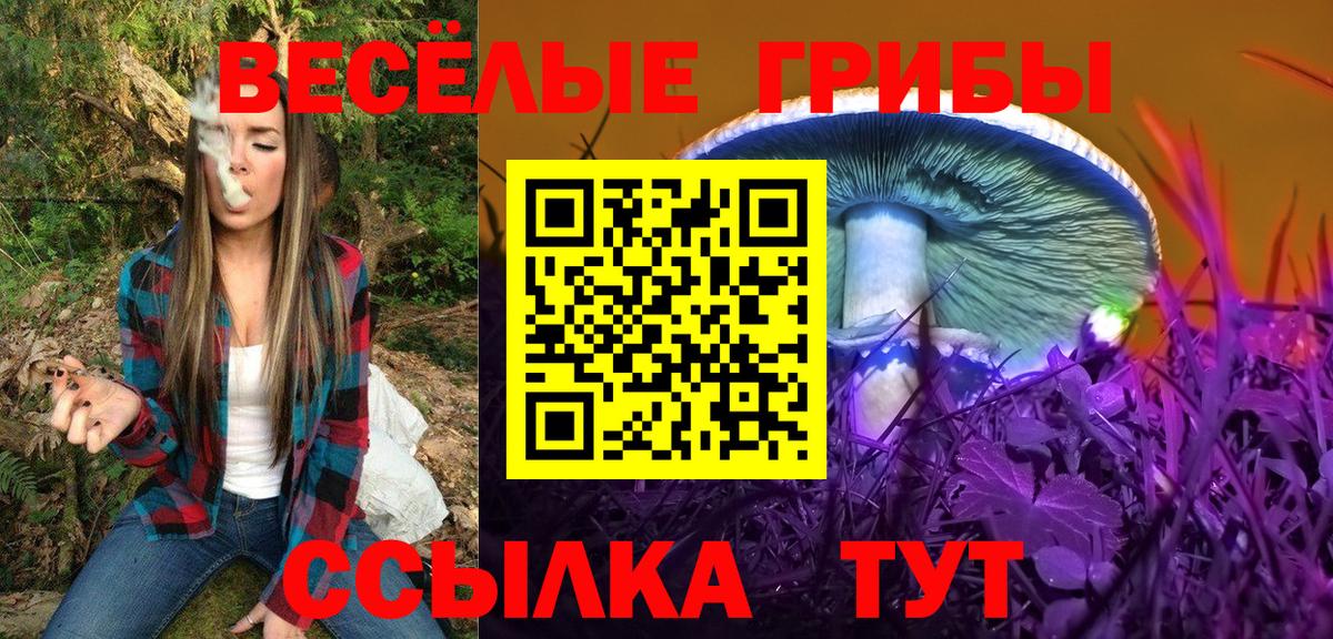 Псилоцибиновые грибы прущие грибы Новый Уренгой